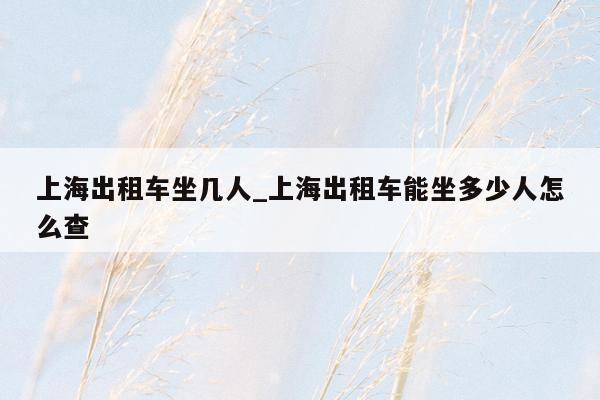 上海出租车坐几人_上海出租车能坐多少人怎么查