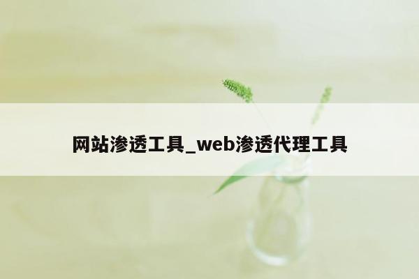 网站渗透工具_web渗透代理工具