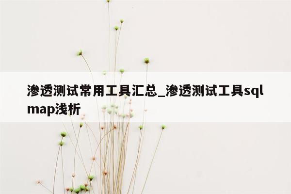 渗透测试常用工具汇总_渗透测试工具sqlmap浅析