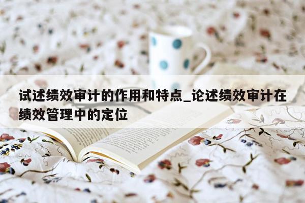 试述绩效审计的作用和特点_论述绩效审计在绩效管理中的定位