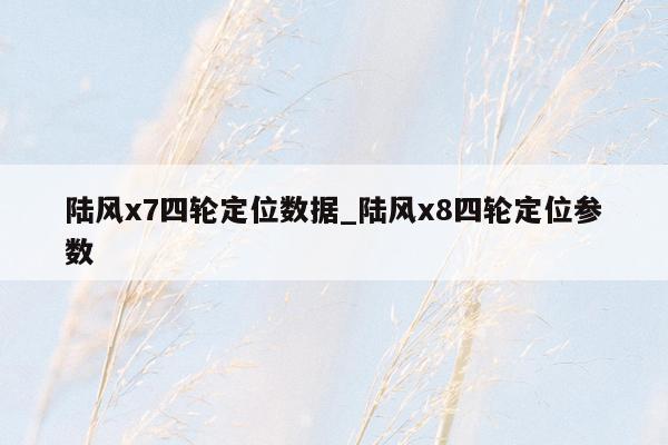 陆风x7四轮定位数据_陆风x8四轮定位参数