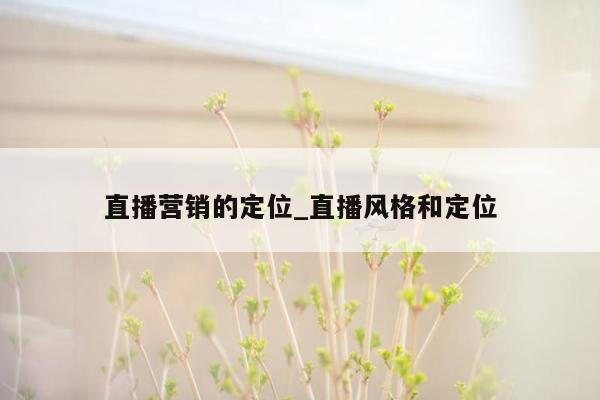 直播营销的定位_直播风格和定位