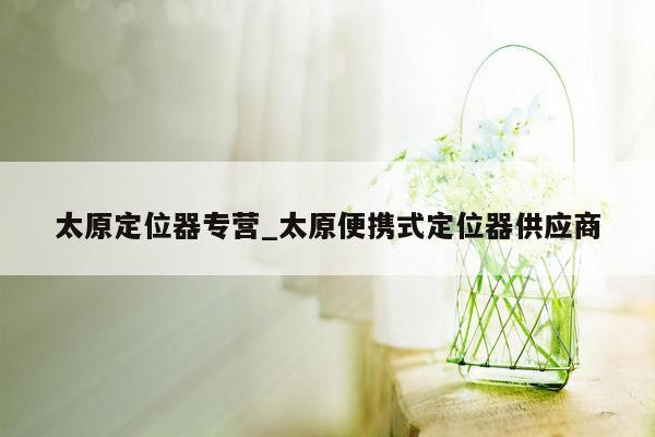 太原定位器专营_太原便携式定位器供应商