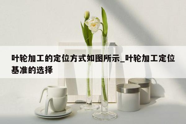 叶轮加工的定位方式如图所示_叶轮加工定位基准的选择