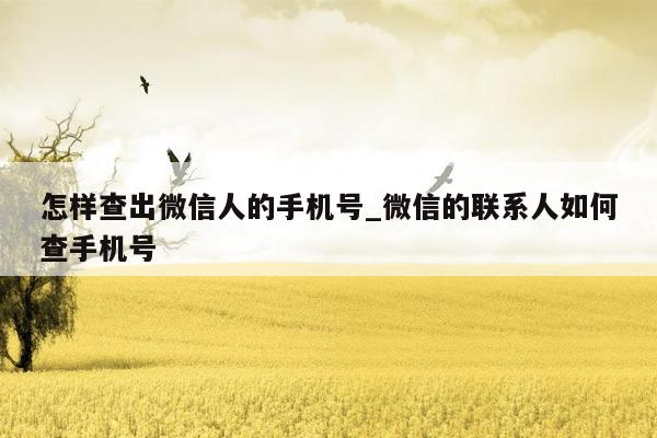 怎样查出微信人的手机号_微信的联系人如何查手机号