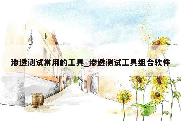 渗透测试常用的工具_渗透测试工具组合软件
