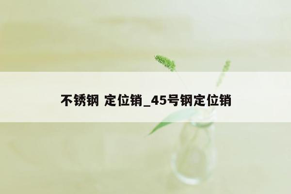 不锈钢 定位销_45号钢定位销