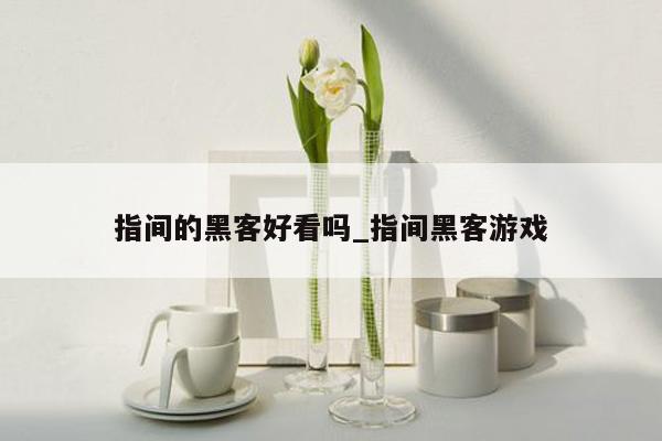 指间的黑客好看吗_指间黑客游戏