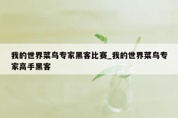 我的世界菜鸟专家黑客比赛_我的世界菜鸟专家高手黑客