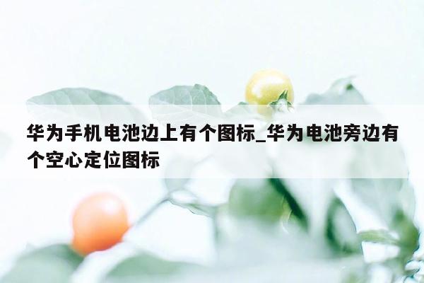 华为手机电池边上有个图标_华为电池旁边有个空心定位图标