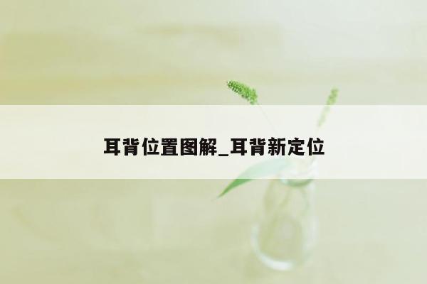 耳背位置图解_耳背新定位