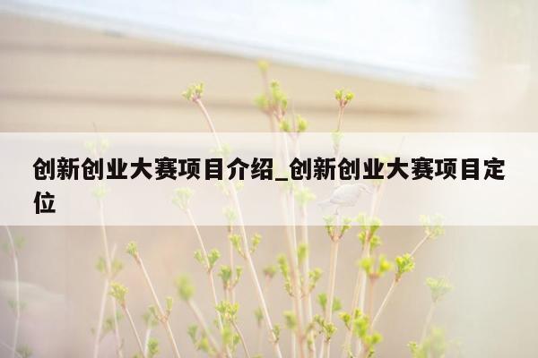 创新创业大赛项目介绍_创新创业大赛项目定位
