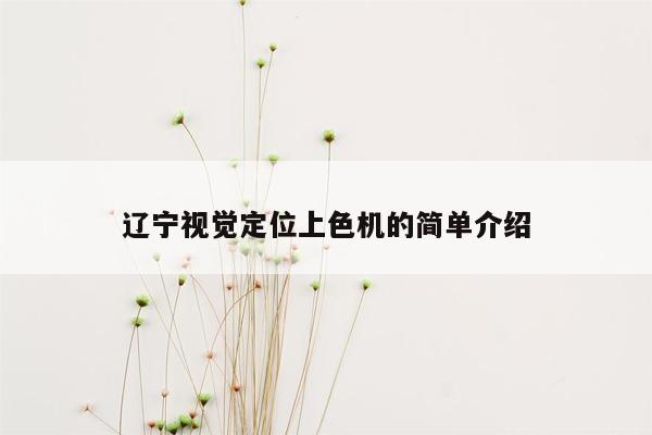 辽宁视觉定位上色机的简单介绍