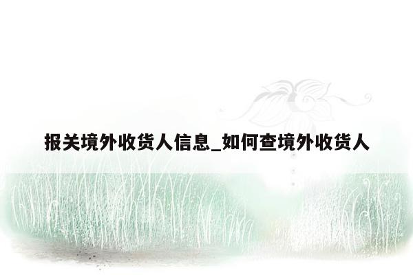 报关境外收货人信息_如何查境外收货人