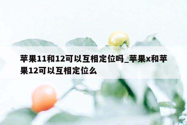 苹果11和12可以互相定位吗_苹果x和苹果12可以互相定位么