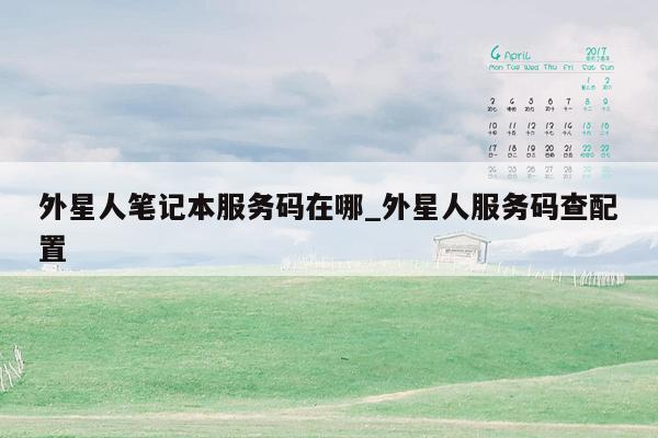 外星人笔记本服务码在哪_外星人服务码查配置
