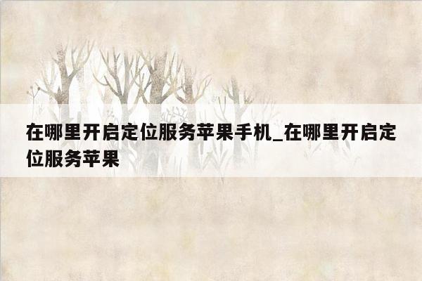 在哪里开启定位服务苹果手机_在哪里开启定位服务苹果