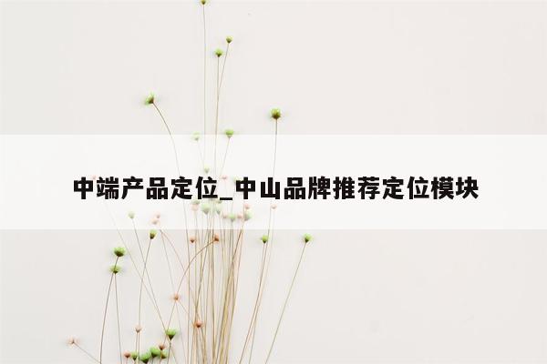 中端产品定位_中山品牌推荐定位模块