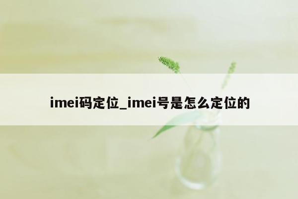 imei码定位_imei号是怎么定位的