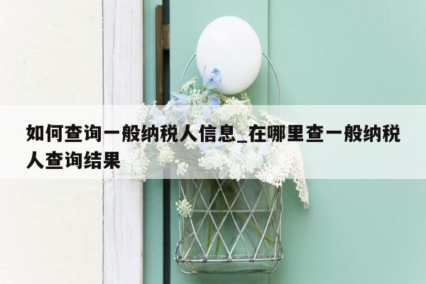 如何查询一般纳税人信息_在哪里查一般纳税人查询结果