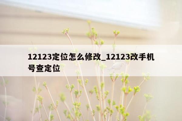 12123定位怎么修改_12123改手机号查定位