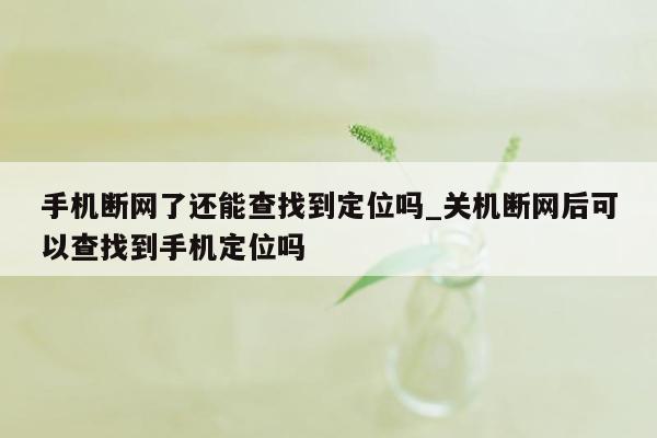 手机断网了还能查找到定位吗_关机断网后可以查找到手机定位吗