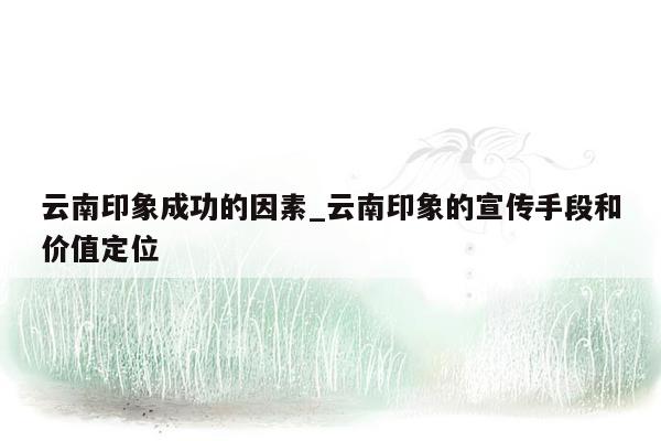 云南印象成功的因素_云南印象的宣传手段和价值定位