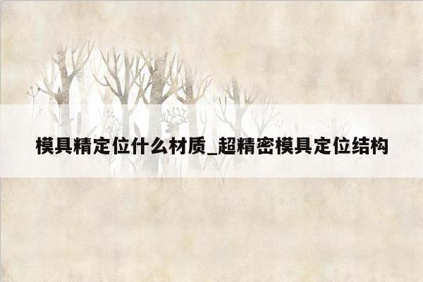 模具精定位什么材质_超精密模具定位结构