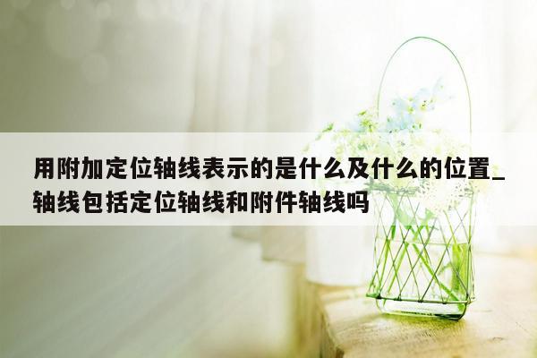 用附加定位轴线表示的是什么及什么的位置_轴线包括定位轴线和附件轴线吗