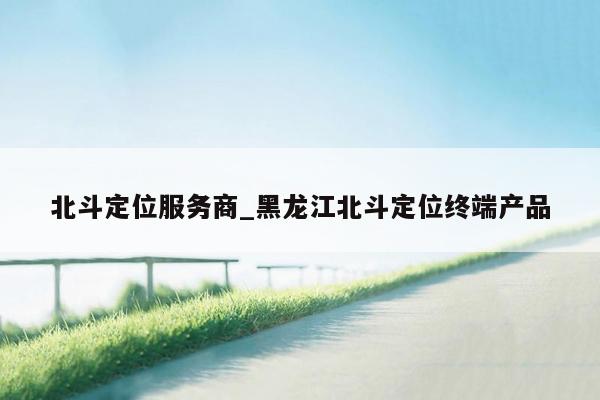 北斗定位服务商_黑龙江北斗定位终端产品
