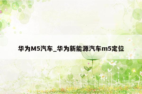 华为M5汽车_华为新能源汽车m5定位