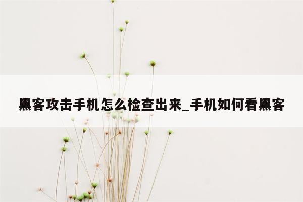 黑客攻击手机怎么检查出来_手机如何看黑客