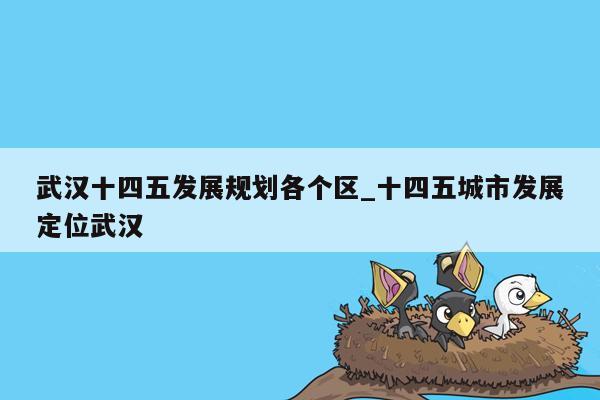 武汉十四五发展规划各个区_十四五城市发展定位武汉