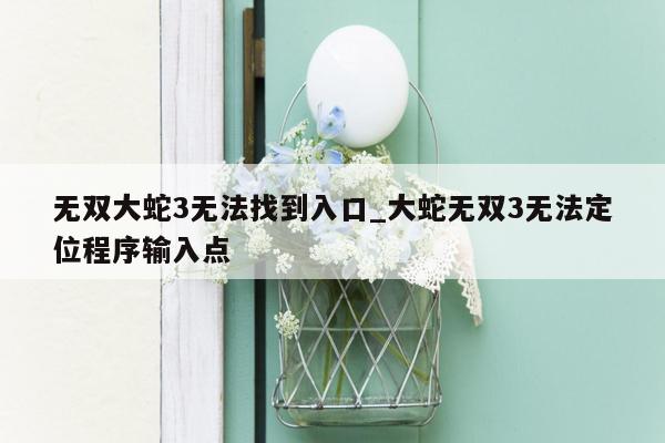 无双大蛇3无法找到入口_大蛇无双3无法定位程序输入点
