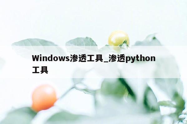 Windows渗透工具_渗透python工具