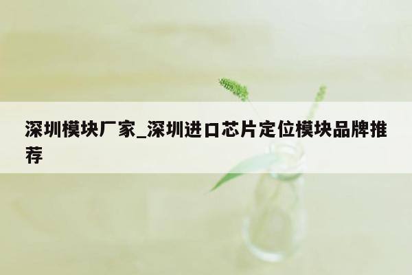 深圳模块厂家_深圳进口芯片定位模块品牌推荐