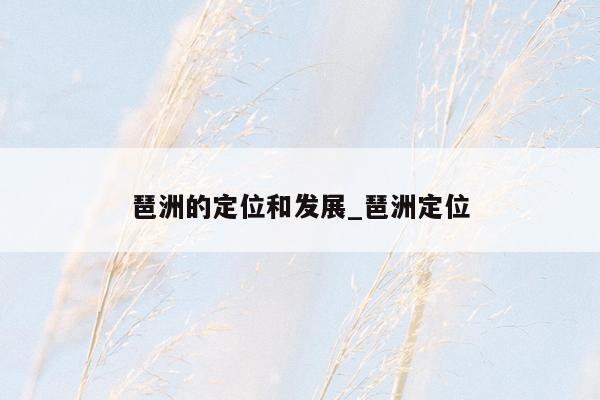 琶洲的定位和发展_琶洲定位