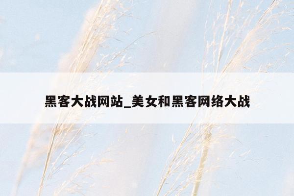 黑客大战网站_美女和黑客网络大战