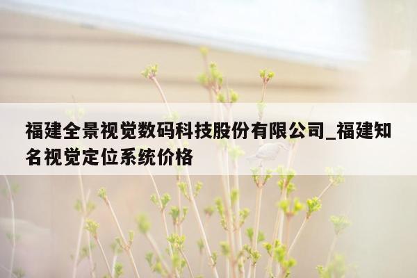 福建全景视觉数码科技股份有限公司_福建知名视觉定位系统价格
