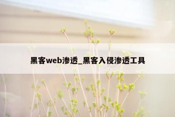 黑客web渗透_黑客入侵渗透工具