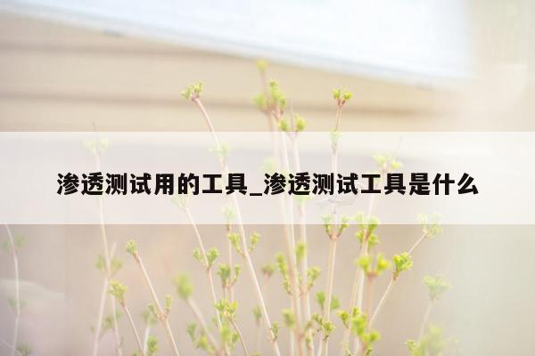 渗透测试用的工具_渗透测试工具是什么