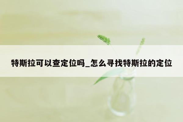 特斯拉可以查定位吗_怎么寻找特斯拉的定位