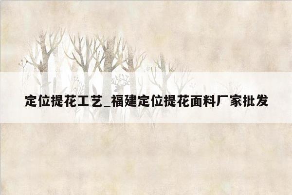 定位提花工艺_福建定位提花面料厂家批发