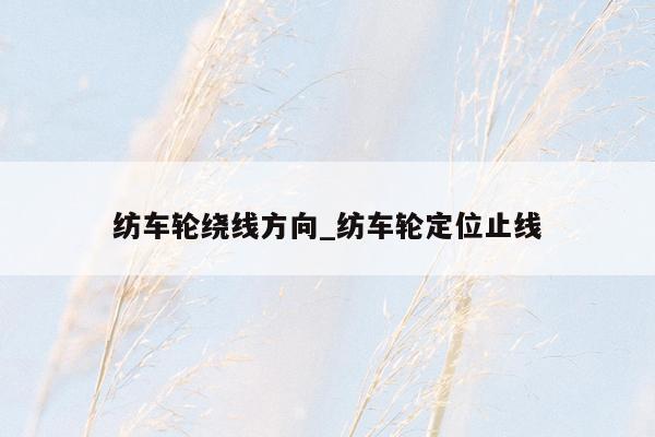 纺车轮绕线方向_纺车轮定位止线