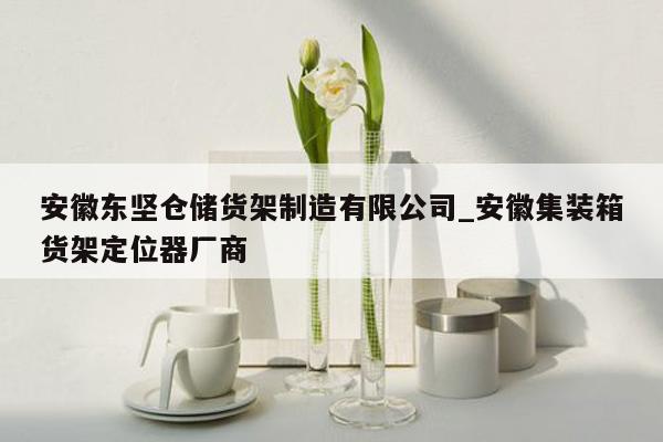 安徽东坚仓储货架制造有限公司_安徽集装箱货架定位器厂商
