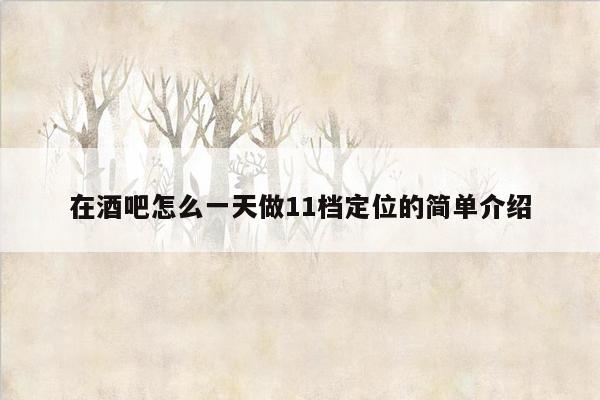 在酒吧怎么一天做11档定位的简单介绍