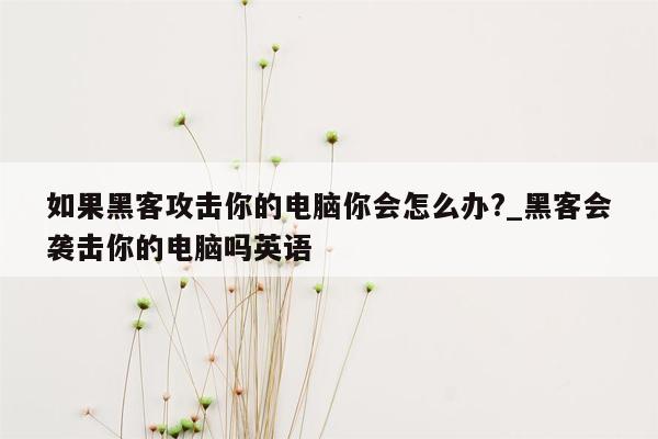 如果黑客攻击你的电脑你会怎么办?_黑客会袭击你的电脑吗英语