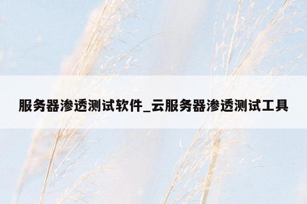 服务器渗透测试软件_云服务器渗透测试工具