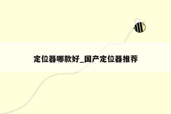 定位器哪款好_国产定位器推荐