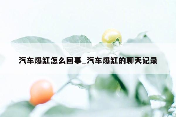 汽车爆缸怎么回事_汽车爆缸的聊天记录